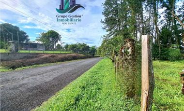 VENDO FINCA DE 6.5 HA CON ALTITUD DE 995M.S.N.M.