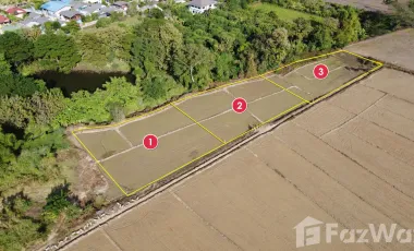 Land for sale in Rong Wua Daeng, Chiang Mai