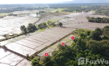 Land for sale in Rong Wua Daeng, Chiang Mai