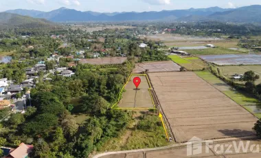 Land for sale in Rong Wua Daeng, Chiang Mai