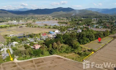Land for sale in Rong Wua Daeng, Chiang Mai