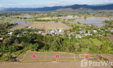 Land for sale in Rong Wua Daeng, Chiang Mai