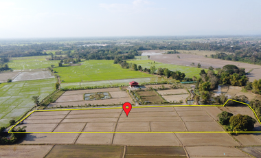 Land for sale in Rong Wua Daeng, Chiang Mai