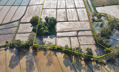 Land for sale in Rong Wua Daeng, Chiang Mai