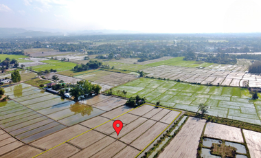 Land for sale in Rong Wua Daeng, Chiang Mai