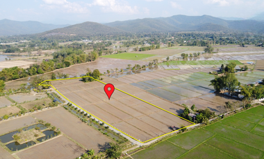 Land for sale in Rong Wua Daeng, Chiang Mai