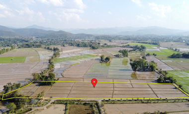 Land for sale in Rong Wua Daeng, Chiang Mai