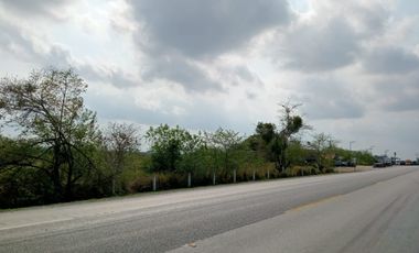TERRENO RENTA CARRETRRA TAMPICO-MANTE