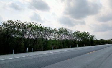 TERRENO RENTA CARRETRRA TAMPICO-MANTE