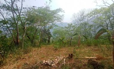 TERRENO EN VENTA EN TEAPA, TABASCO