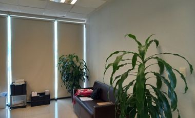 Local Plaza Las Villas | Garza Sada