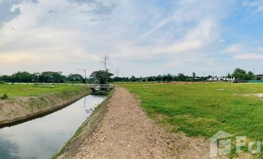 Land for sale in San Sai, Chiang Rai