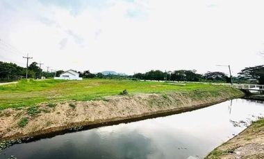 Land for sale in San Sai, Chiang Rai