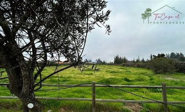 Parcela en Venta en Camino Carampangue - Colegio Trebulco