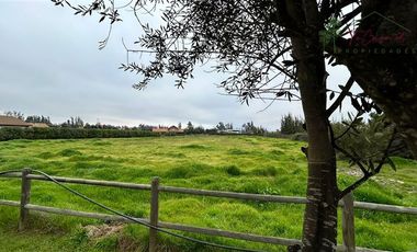 Parcela en Venta en Camino Carampangue - Colegio Trebulco