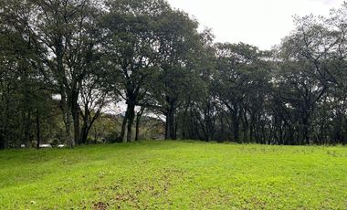 CASA EN RENTA EN JILOTZINGO