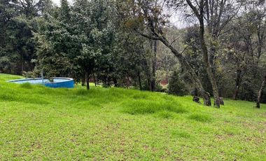 CASA EN RENTA EN JILOTZINGO