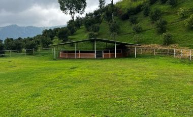 FINCA EN VENTA EN SECTOR LA FLORIDA/PEREIRA