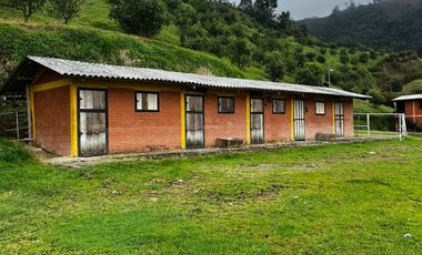 FINCA EN VENTA EN SECTOR LA FLORIDA/PEREIRA