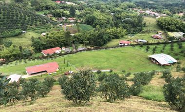 FINCA EN VENTA EN SECTOR LA FLORIDA/PEREIRA