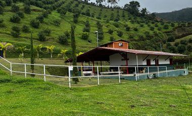 FINCA EN VENTA EN SECTOR LA FLORIDA/PEREIRA