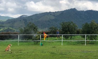 FINCA EN VENTA EN SECTOR LA FLORIDA/PEREIRA