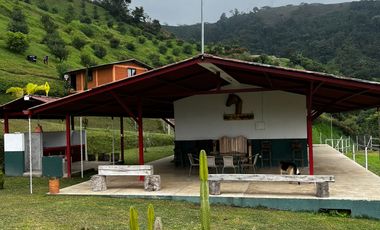 FINCA EN VENTA EN SECTOR LA FLORIDA/PEREIRA