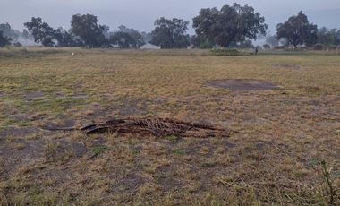 Terreno 100,000m2 en venta cerquísima AIFA