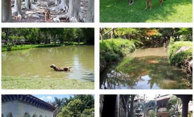 Venta de Rancho Los Corceles: Un Oasis de Lujo y Naturaleza en Chiconc