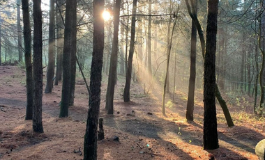 Venta de Terreno en Tlahuapan (Rio Frío)