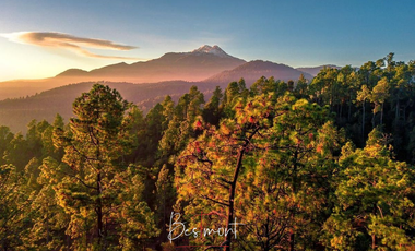 Venta de Terreno en Tlahuapan (Rio Frío)