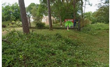Venta de Terreno en Algarrobos
