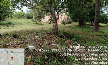 Venta de Terreno en Algarrobos