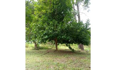 Venta de Terreno en Algarrobos