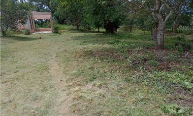 Venta de Terreno en Algarrobos