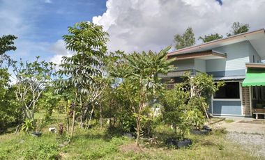 2 Bedroom House for sale in Rop Wiang, Chiang Rai