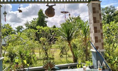 2 Bedroom House for sale in Rop Wiang, Chiang Rai