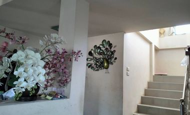 4 Bedroom House for sale in San Sai, Chiang Rai