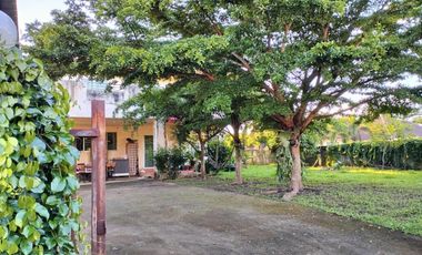 4 Bedroom House for sale in San Sai, Chiang Rai