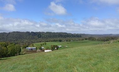 Sitio en Venta en PARCELA 1 HECTAREA A 60 MINUTOS DEL AEROPUERTO/ LOS MUERMOS