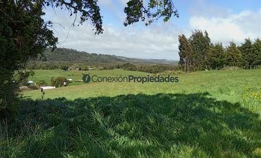 Sitio en Venta en PARCELA 1 HECTAREA A 60 MINUTOS DEL AEROPUERTO/ LOS MUERMOS