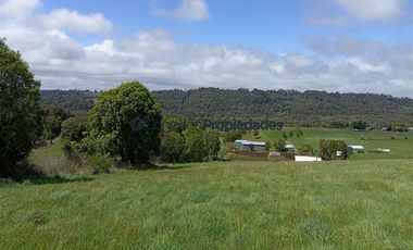 Sitio en Venta en PARCELA 1 HECTAREA A 60 MINUTOS DEL AEROPUERTO/ LOS MUERMOS