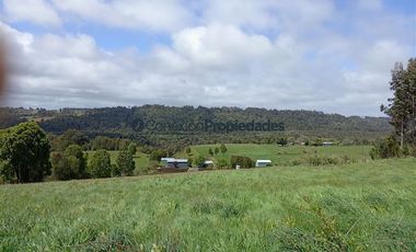 Sitio en Venta en PARCELA 1 HECTAREA A 60 MINUTOS DEL AEROPUERTO/ LOS MUERMOS