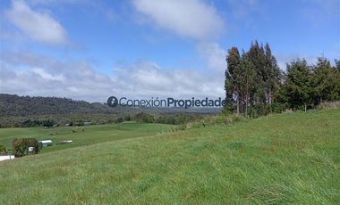 Sitio en Venta en PARCELA 1 HECTAREA A 60 MINUTOS DEL AEROPUERTO/ LOS MUERMOS