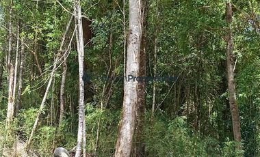 Parcela en Venta en PARCELAS SECTOR POLINCAY PUERTO MONTT/ CREDITO DIRECTO