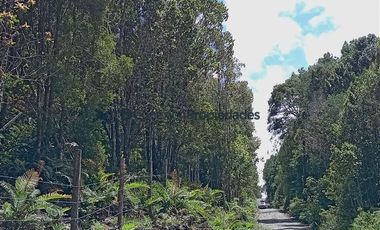 Parcela en Venta en PARCELAS SECTOR POLINCAY PUERTO MONTT/ CREDITO DIRECTO