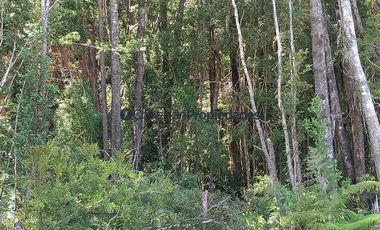 Parcela en Venta en PARCELAS SECTOR POLINCAY PUERTO MONTT/ CREDITO DIRECTO