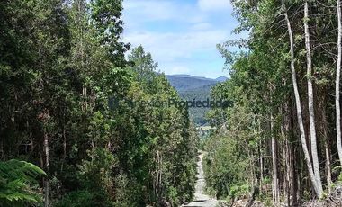 Parcela en Venta en PARCELAS SECTOR POLINCAY PUERTO MONTT/ CREDITO DIRECTO