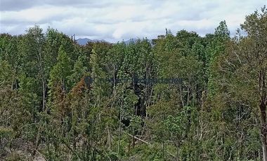 Parcela en Venta en PARCELAS SECTOR POLINCAY PUERTO MONTT/ CREDITO DIRECTO