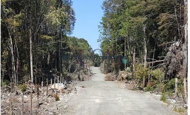 Parcela en Venta en PARCELAS SECTOR POLINCAY PUERTO MONTT/ CREDITO DIRECTO